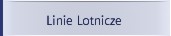 Linie lotnicze