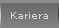 Kariera